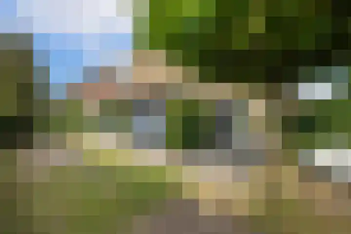 Dr. Lelylaan 61 Huizen thumbnail 36