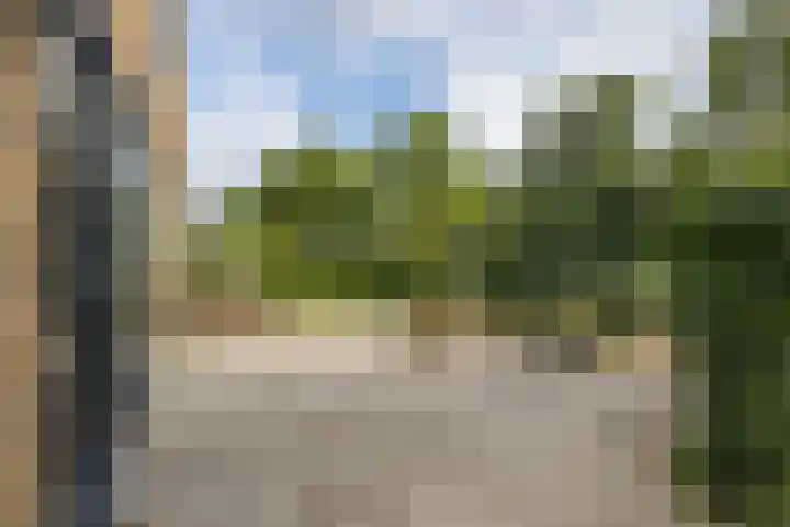 Dr. Lelylaan 61 Huizen thumbnail 38