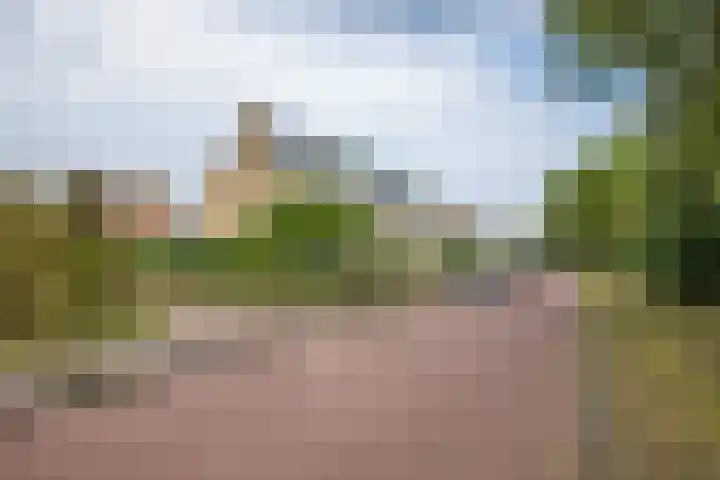 Dr. Lelylaan 61 Huizen thumbnail 39