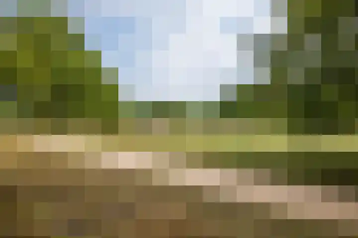 Dr. Lelylaan 61 Huizen thumbnail 40