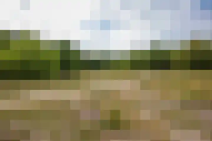 Dr. Lelylaan 61 Huizen thumbnail 42