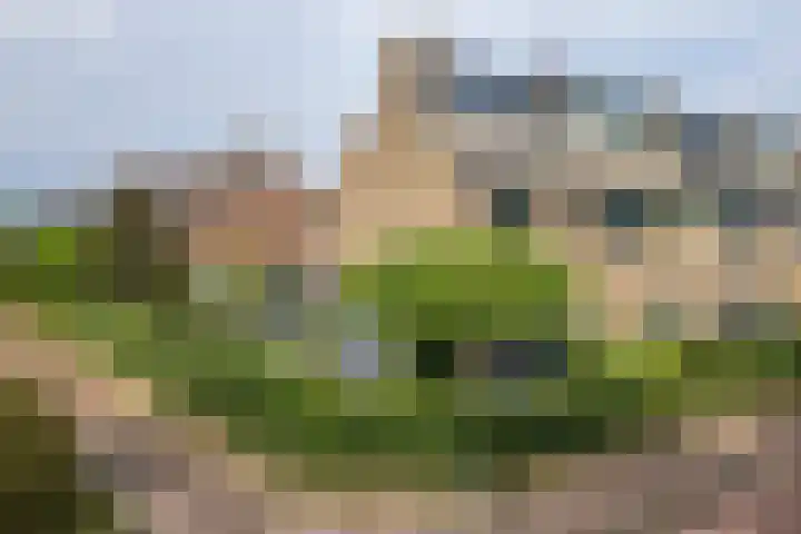 Dr. Lelylaan 61 Huizen thumbnail 48