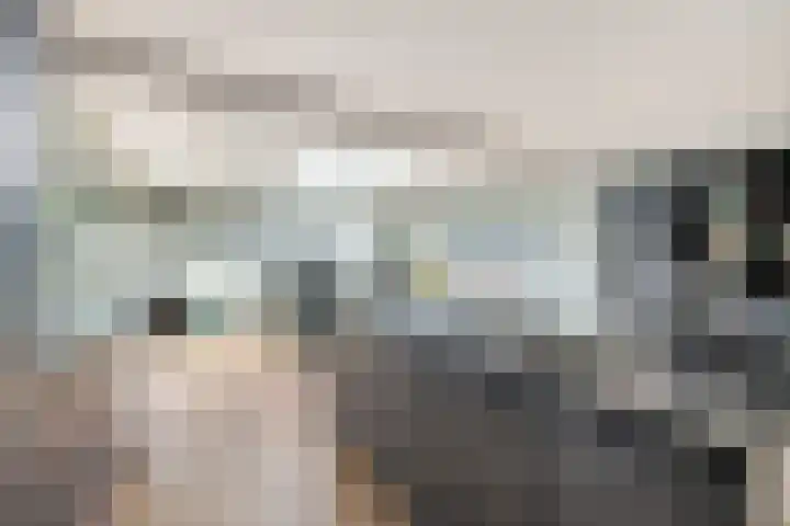 Dr. Lelylaan 61 Huizen thumbnail 9