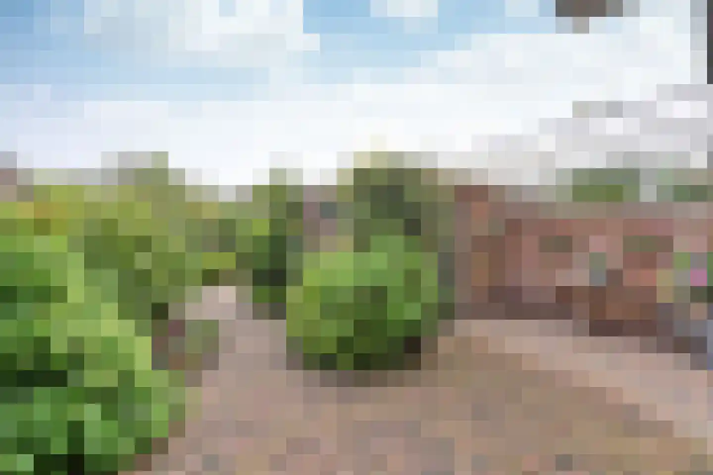 Dr. Lelylaan 73 Huizen thumbnail 16