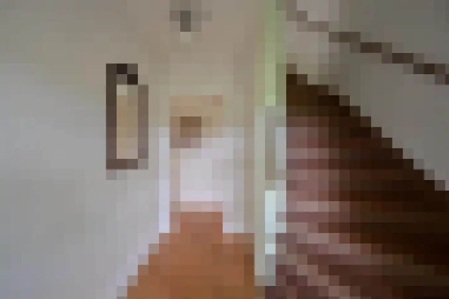 Dr. Lelylaan 73 Huizen thumbnail 8