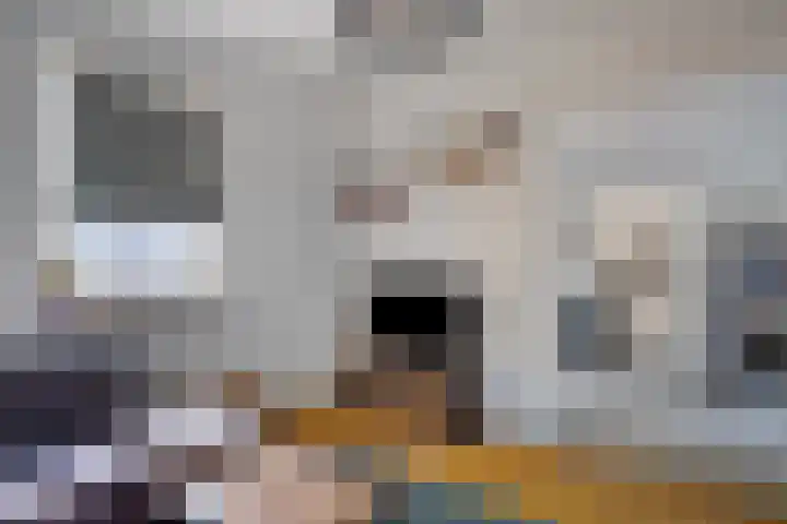 Dr. Lemmenstraat 15 Meterik thumbnail 13