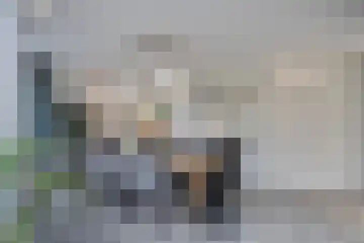 Dr. Lemmenstraat 15 Meterik thumbnail 16