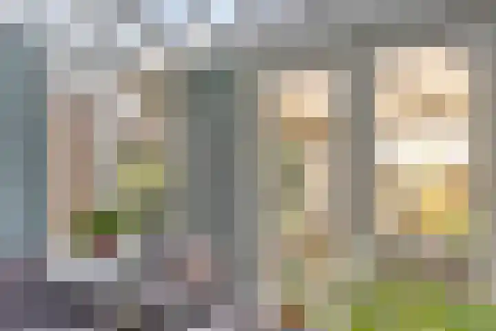 Dr. Lemmenstraat 15 Meterik thumbnail 20