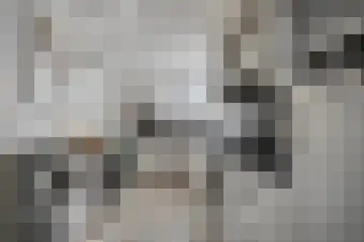 Dr. Lemmenstraat 15 Meterik thumbnail 21