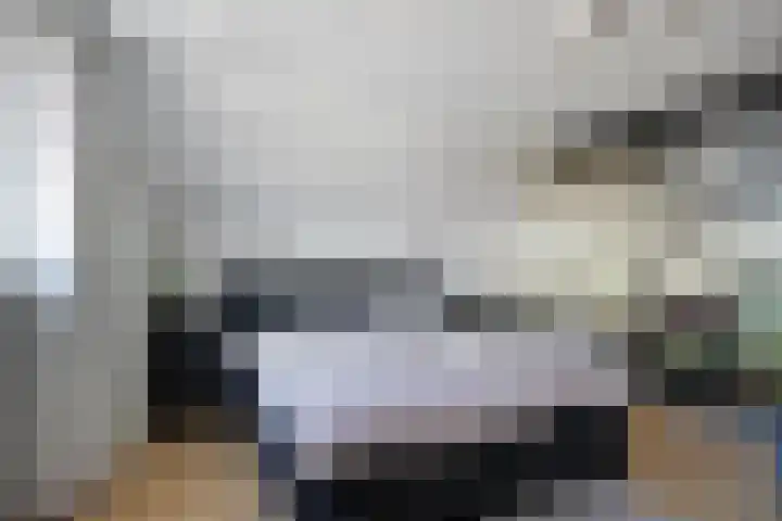 Dr. Lemmenstraat 15 Meterik thumbnail 26