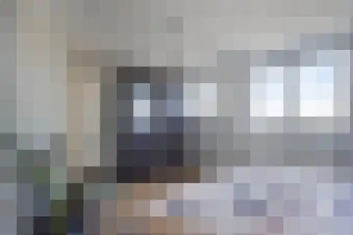 Dr. Lemmenstraat 15 Meterik thumbnail 27