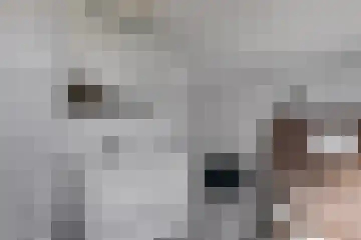 Dr. Lemmenstraat 15 Meterik thumbnail 31