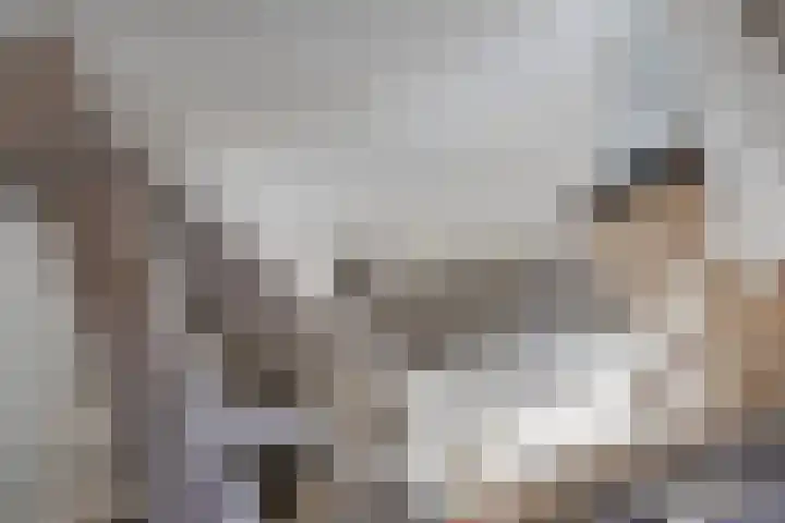 Dr. Lemmenstraat 15 Meterik thumbnail 36