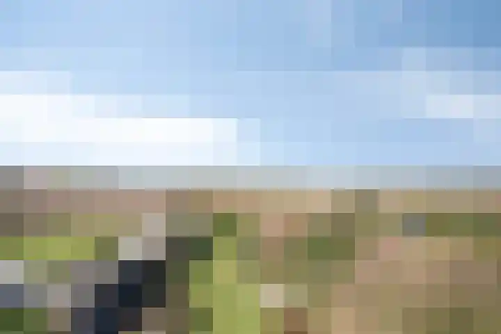 Dr. Lemmenstraat 15 Meterik thumbnail 39