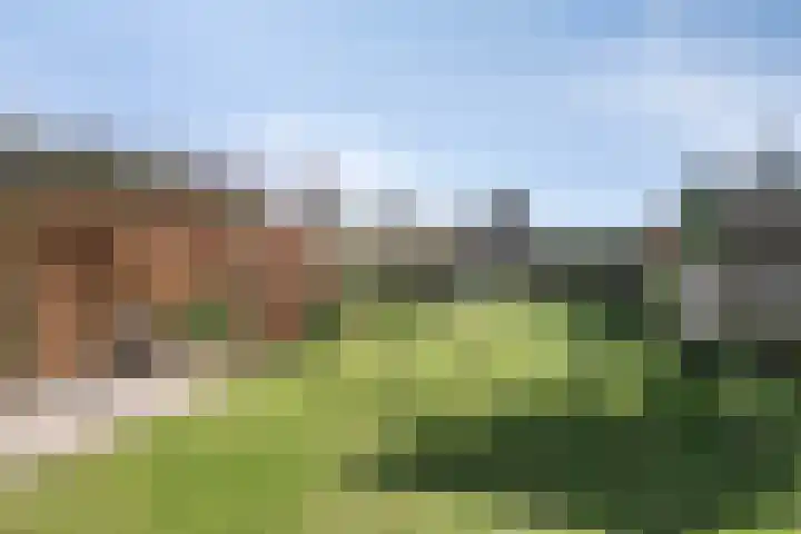 Dr. Lemmenstraat 15 Meterik thumbnail 4