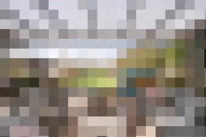 Dr. Lemmenstraat 15 Meterik thumbnail 41