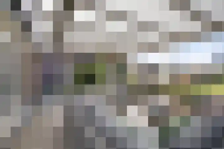 Dr. Lemmenstraat 15 Meterik thumbnail 42