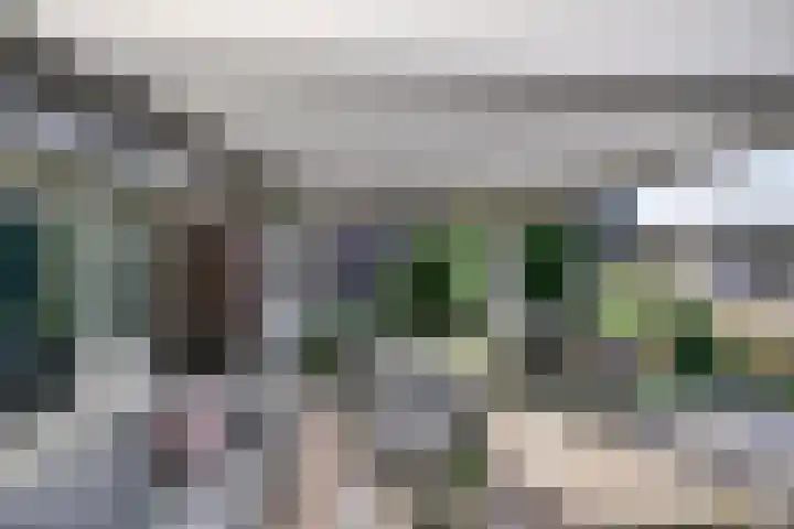 Dr. Lemmenstraat 15 Meterik thumbnail 44