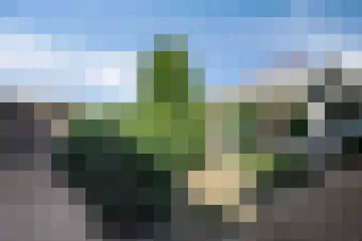 Dr. Lemmenstraat 15 Meterik thumbnail 45