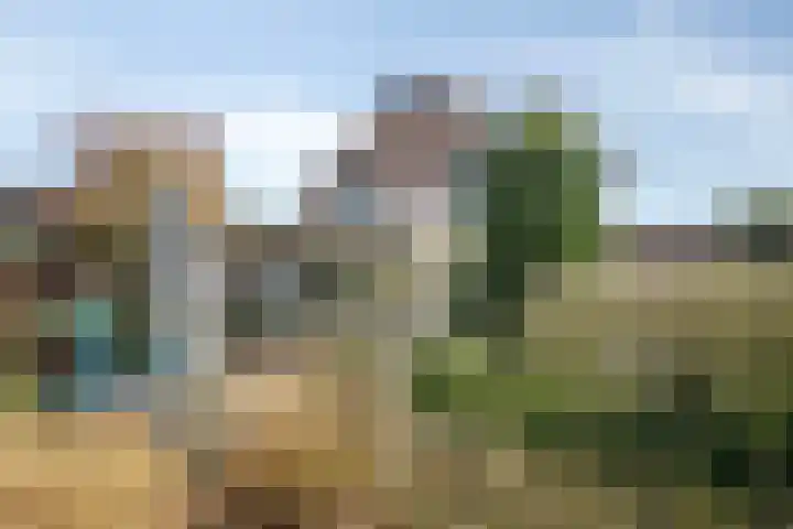 Dr. Lemmenstraat 15 Meterik thumbnail 46