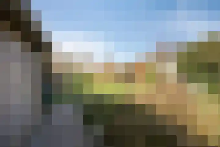 Dr. Lemmenstraat 15 Meterik thumbnail 47
