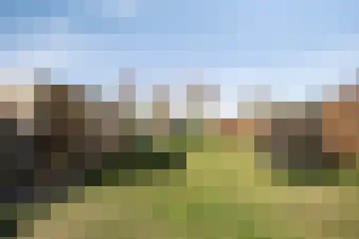 Dr. Lemmenstraat 15 Meterik thumbnail 49