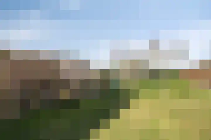 Dr. Lemmenstraat 15 Meterik thumbnail 50