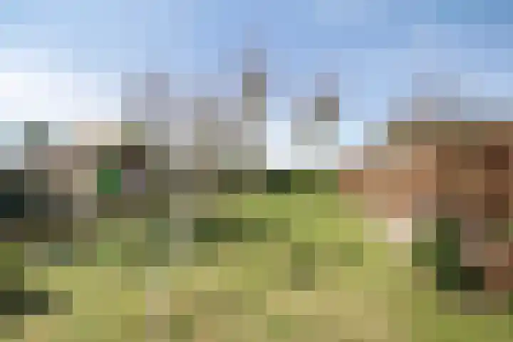 Dr. Lemmenstraat 15 Meterik thumbnail 51
