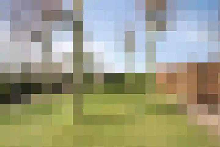 Dr. Lemmenstraat 15 Meterik thumbnail 52