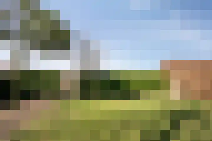 Dr. Lemmenstraat 15 Meterik thumbnail 53