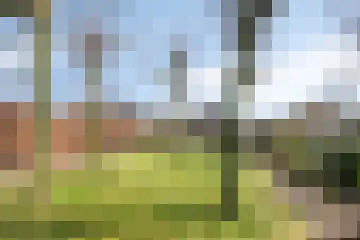 Dr. Lemmenstraat 15 Meterik thumbnail 55