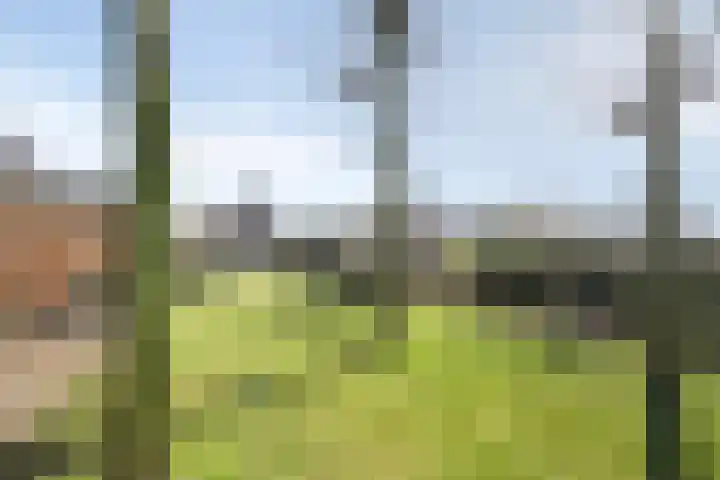 Dr. Lemmenstraat 15 Meterik thumbnail 56