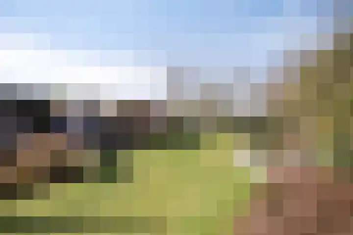 Dr. Lemmenstraat 15 Meterik thumbnail 60
