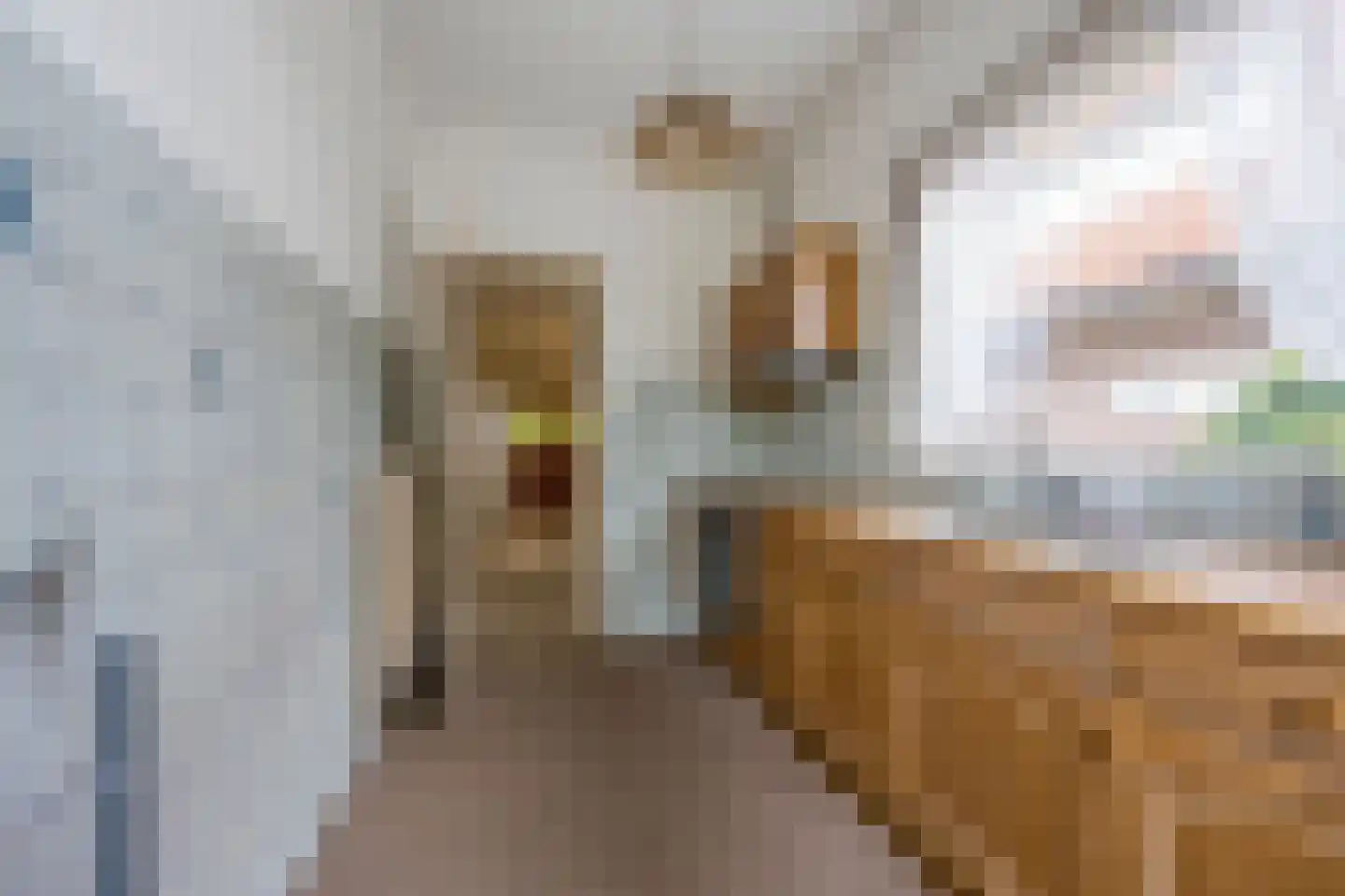 Dr. Letteplein 13 De Bilt thumbnail 19