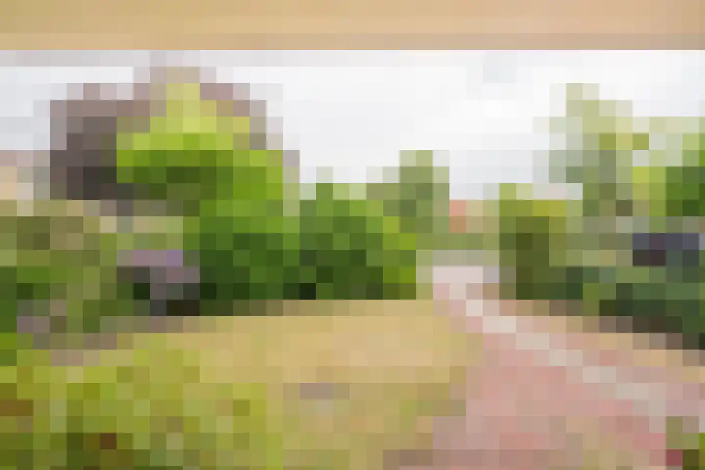 Dr. Letteplein 13 De Bilt thumbnail 4