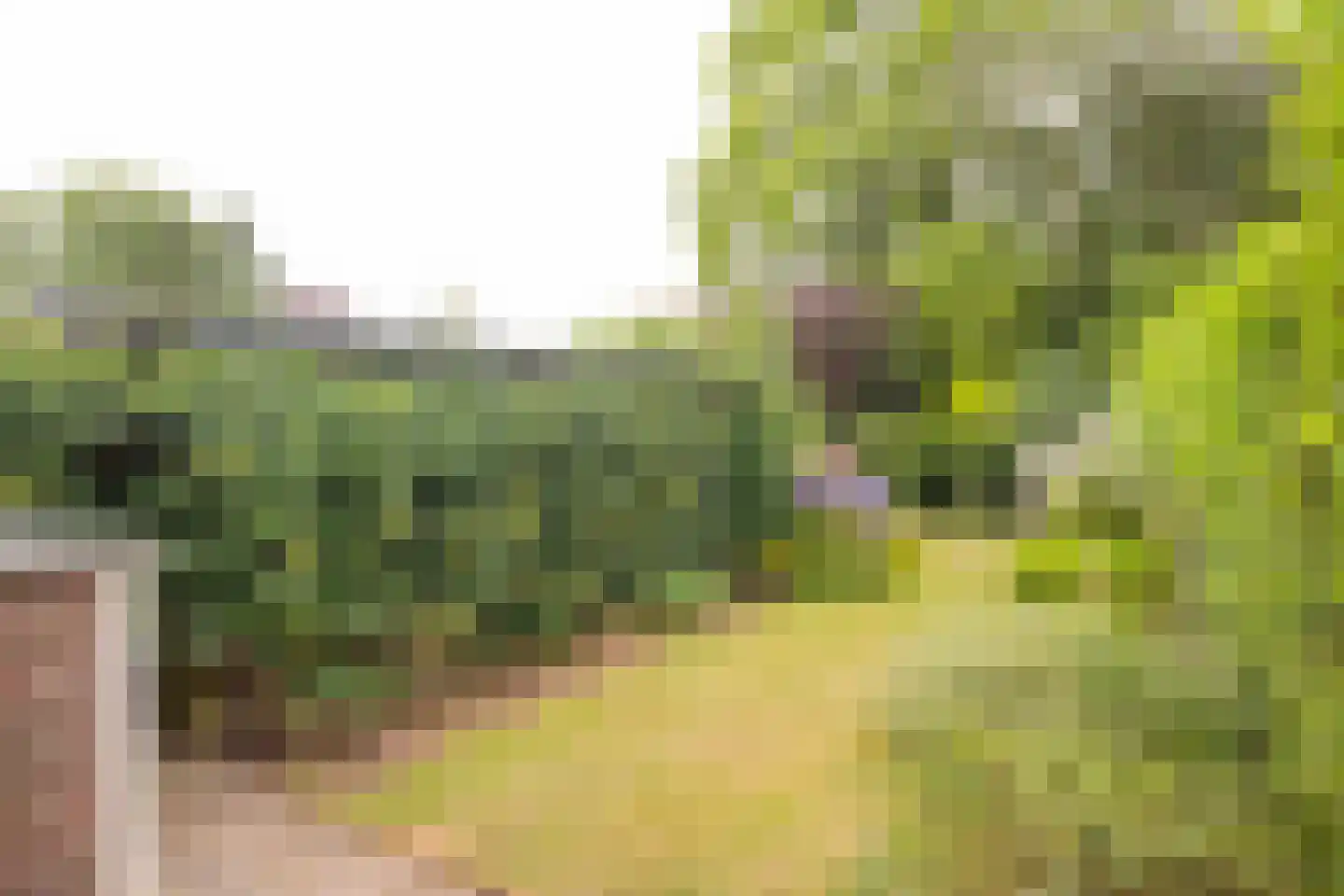 Dr. Letteplein 13 De Bilt thumbnail 40