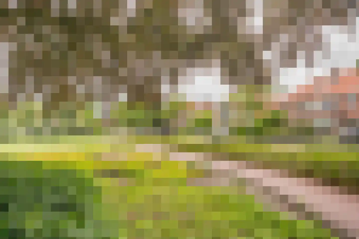 Dr. Letteplein 13 De Bilt thumbnail 5