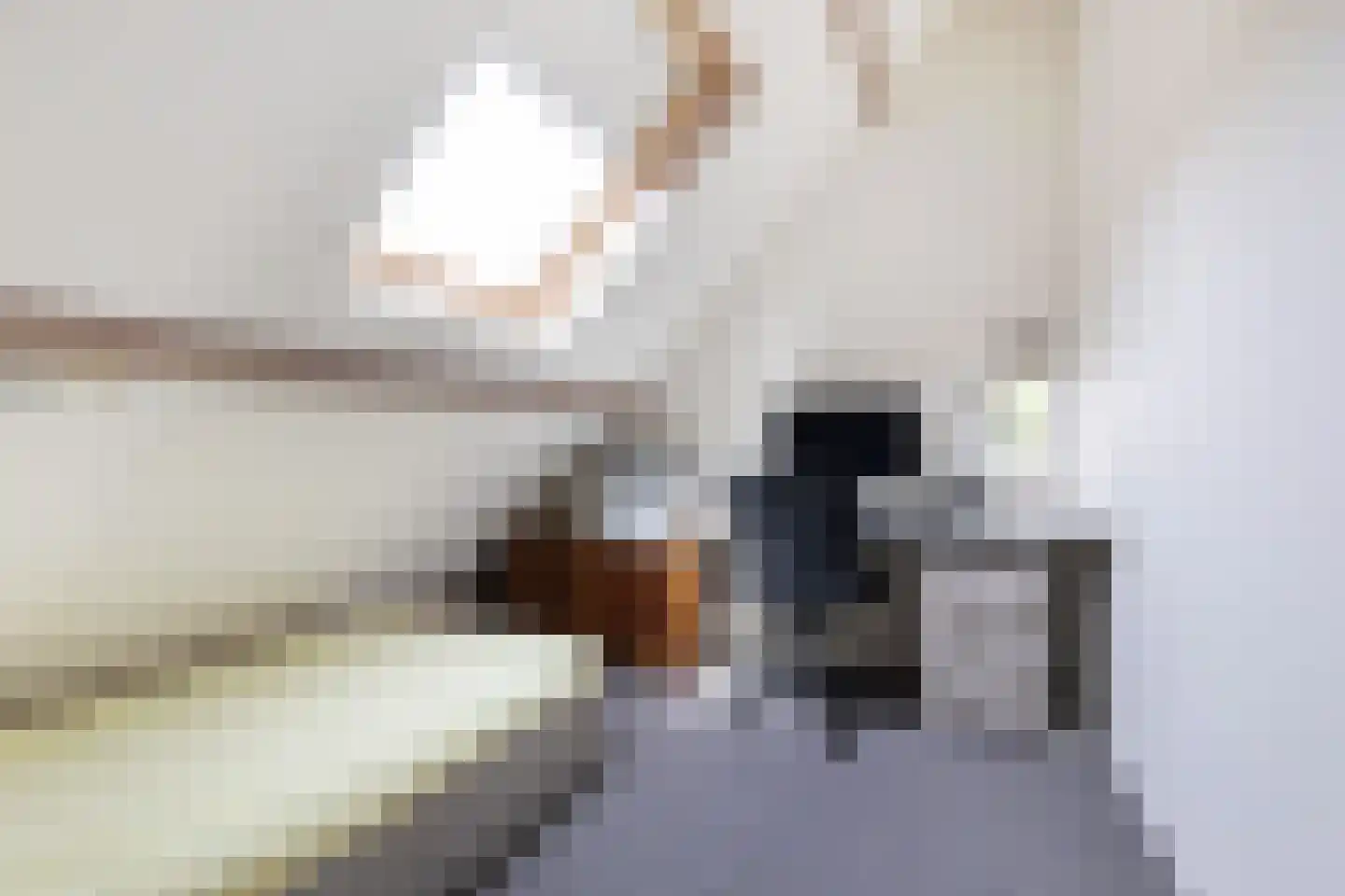 Dr. Letteplein 14 De Bilt thumbnail 29
