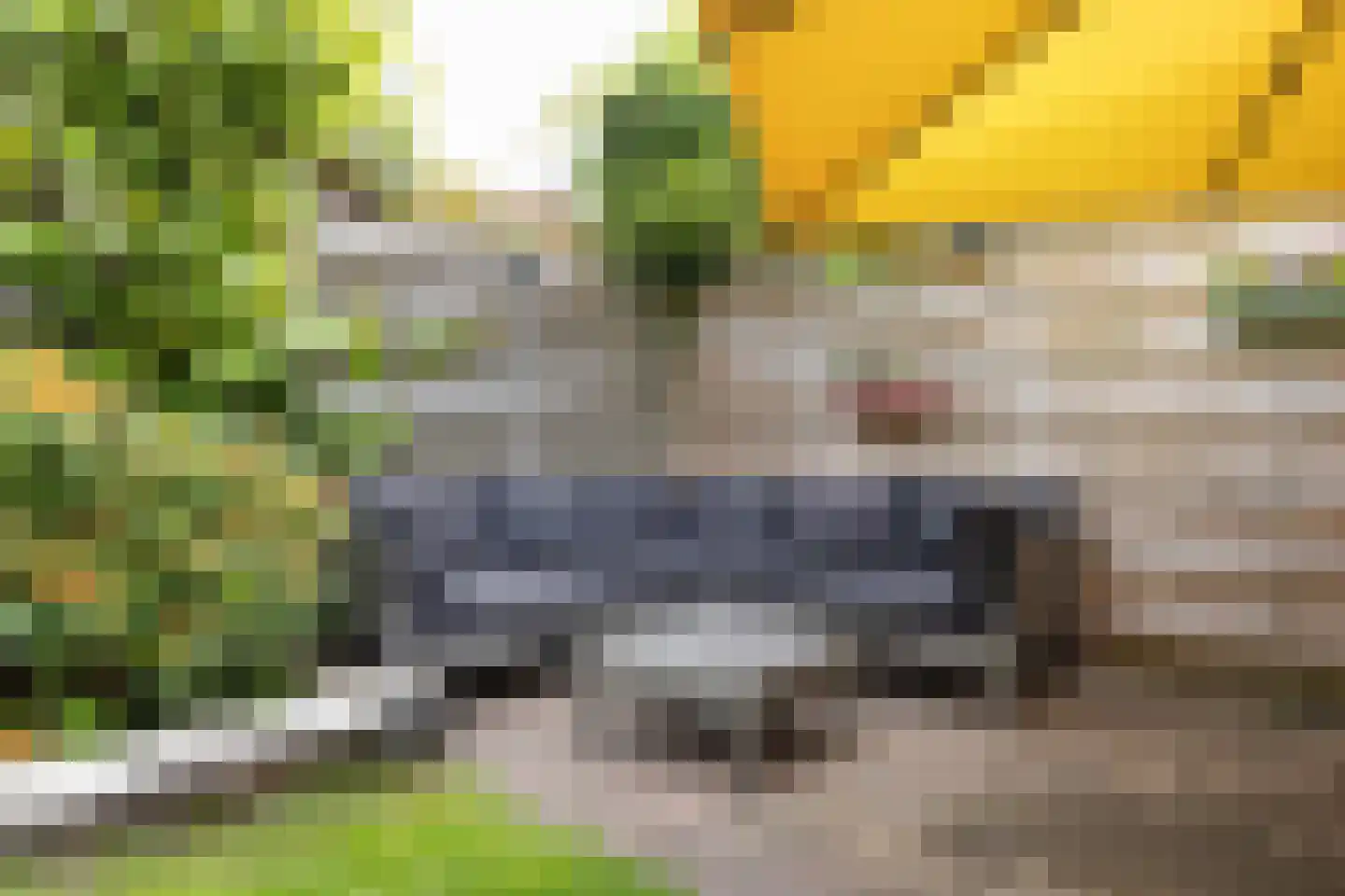 Dr. Letteplein 14 De Bilt thumbnail 37