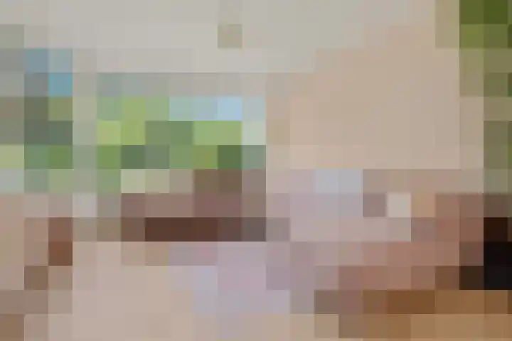 Dr. Lovinklaan 18 Alphen aan den Rijn thumbnail 15