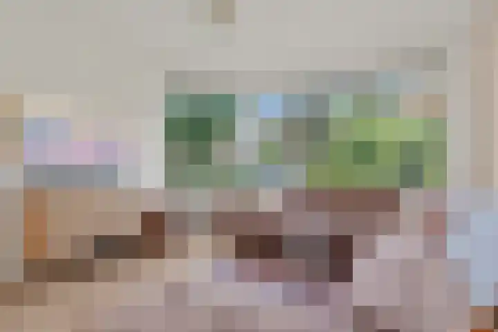 Dr. Lovinklaan 18 Alphen aan den Rijn thumbnail 17