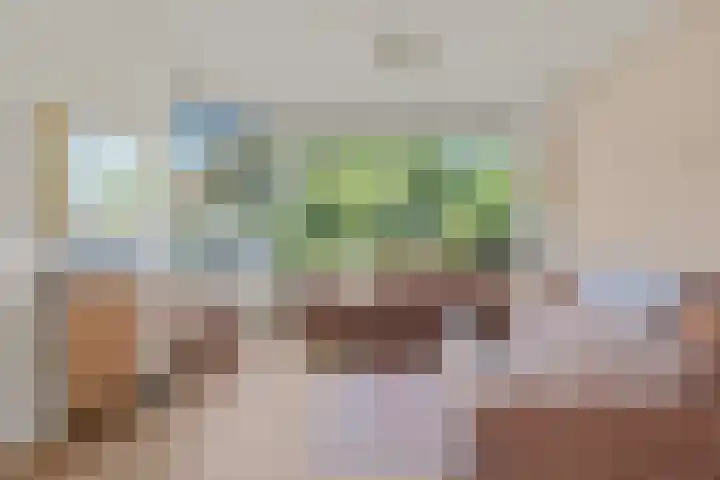Dr. Lovinklaan 18 Alphen aan den Rijn thumbnail 18