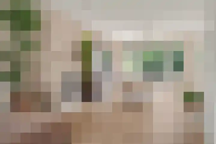 Dr. Lovinklaan 18 Alphen aan den Rijn thumbnail 21