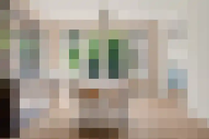 Dr. Lovinklaan 18 Alphen aan den Rijn thumbnail 22