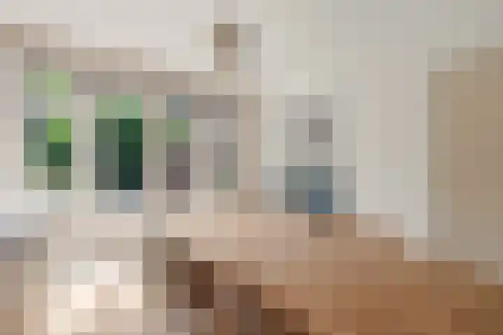 Dr. Lovinklaan 18 Alphen aan den Rijn thumbnail 23