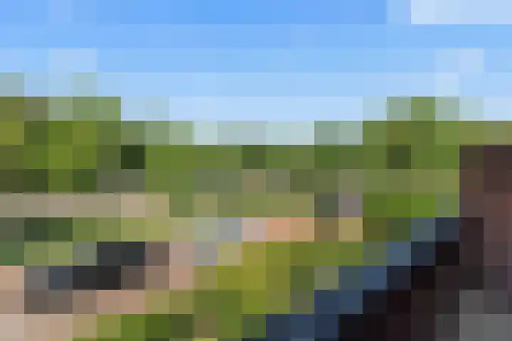 Dr. Lovinklaan 18 Alphen aan den Rijn thumbnail 42