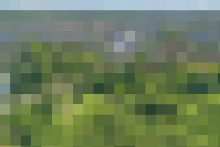 Dr. Lovinklaan 18 Alphen aan den Rijn thumbnail 57