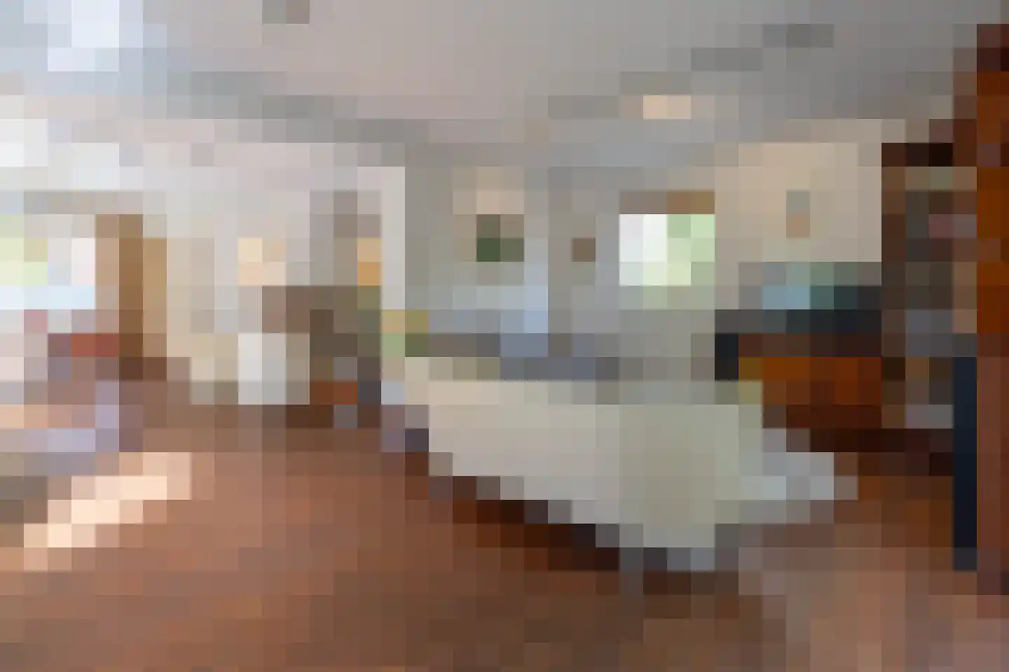 Dr. Lovinklaan 32 Alphen aan den Rijn thumbnail 11