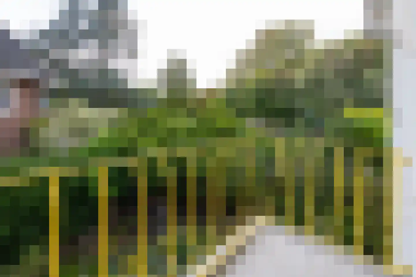 Dr. Lovinklaan 32 Alphen aan den Rijn thumbnail 25