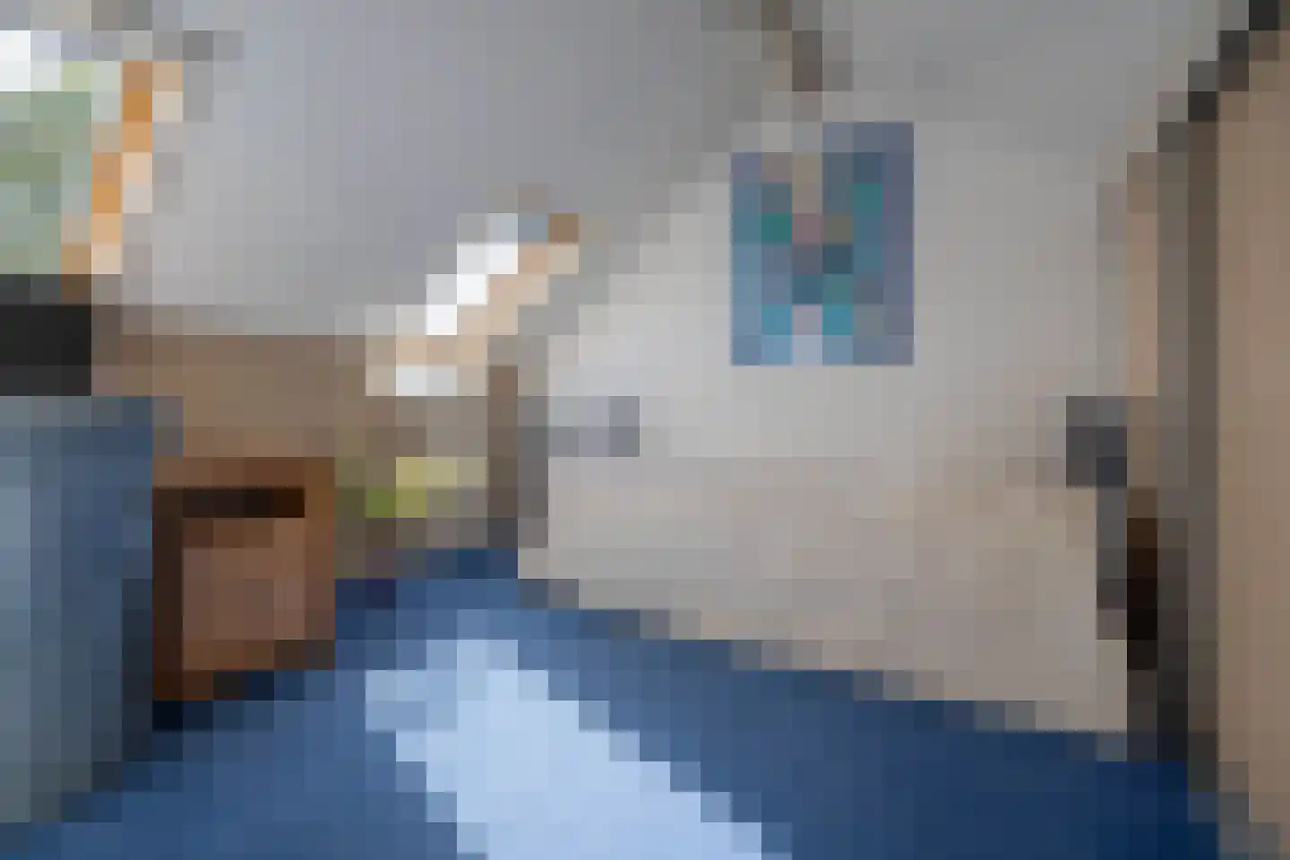 Dr. Lovinklaan 32 Alphen aan den Rijn thumbnail 33